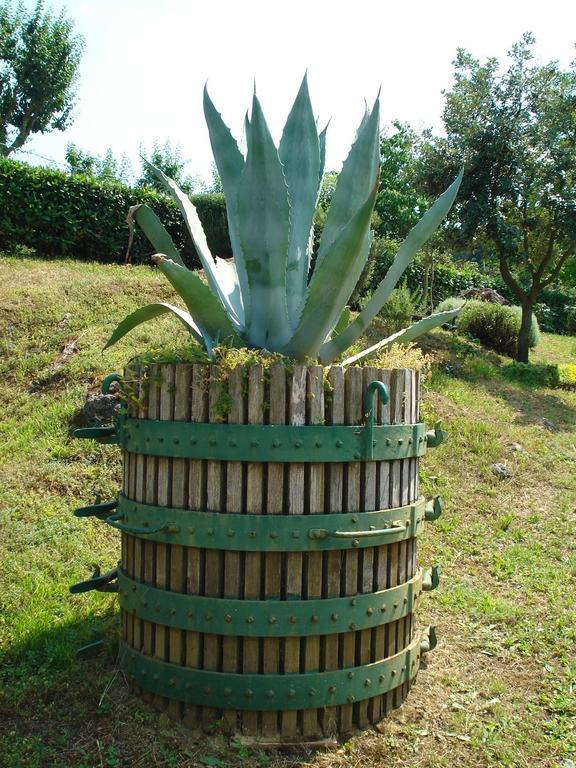 Agriturismo La Vigna Сан Джиминяно Екстериор снимка